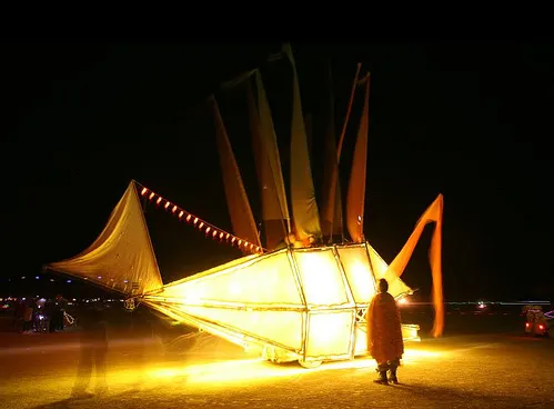 Sakana during the night