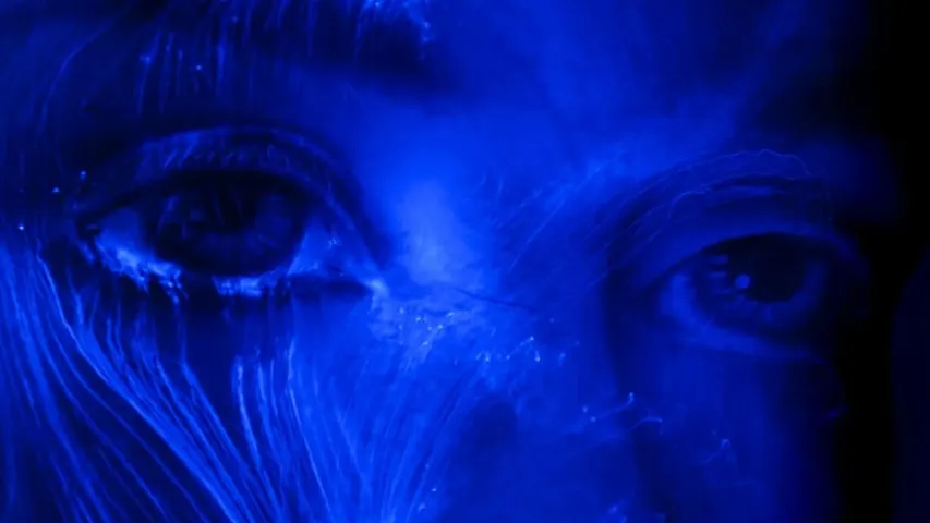The robots first web is here, today.